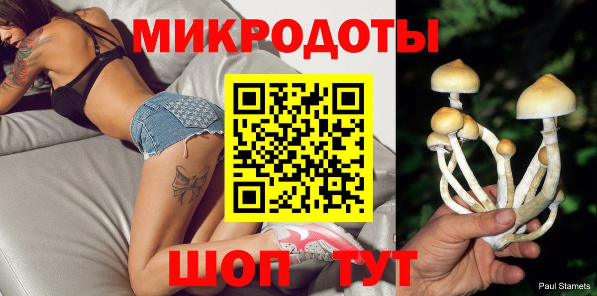 Псилоцибиновые грибы Psilocybine cubensis Кимры