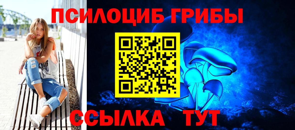Кимры  Галлюциногенные грибы GOLDEN TEACHER  Вход с VPN  Псилоцибиновые грибы Psilocybe 
